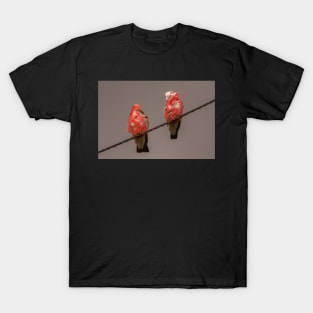 Birds on a Wire T-Shirt